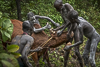 <p><strong>2019 – Etiopia – Kibbish (popolazione Surma)</strong></p>
<p>Tra le “<em>Montagne della Luna</em>”, nel sud dell’Etiopia, appartata sulle alture a ovest del corso inferiore del fiume Omo, vive la tribù dei Surma, popolazione di origine nilotica.</p>
<p>La necessità di sopravvivere in un territorio così aspro, dove la ricerca di pascoli per il bestiame è essenziale per la vita stessa dell’intera comunità, ha comportato che queste piccole tribù siano rimaste intimamente legate alla propria identità di clan, impedendo fusioni culturali con le vicine etnie dei Nyangatom (o Bume), e dei Mursi, quest’ultimi stanziati nella Bassa Valle dell’Omo.</p>
<p>Il <strong>pasto del sangue</strong> è un rito tradizionale dei Surma: alcuni giovani immobilizzano un bue o una mucca, mentre un ragazzo stringe un cordone intorno al collo dell’animale in modo da mettere in evidenza le vene ed un altro, armato di arco e freccia, presa la mira, scaglia con precisione il dardo praticando un piccolo foro nella giugulare.</p>
<p>Una volta estratta la freccia il sangue, che esce a zampilli, viene immediatamente raccolto in una zucca svuotata.</p>
<p>Viene prelevato solo quello necessario a nutrire i presenti, per non indebolire inutilmente il bestiame, e non ne verrà sprecata neppure una goccia.</p>
<p>Con un impasto di sterco e fango viene tamponata la ferita dell’animale perché smetta di sanguinare e poi viene liberato.</p>
<p>Tradizionalmente, lo scopo primario del pasto era l’integrazione della dieta quotidiana dei giovani Surma che nella stagione secca erano costretti a pascolare gli animali lontano dal villaggio, rimanendo isolati anche per settimane durante le quali si cibavano solo di verdure e prodotti del bosco.</p>
<p>La dieta dei Surma, integrata da mais e sorgo, è basata principalmente su latte e sangue di vacca: i ragazzi bevono sangue per crescere, gli uomini per acquistare forza.</p>
<p>Alla base di questo rito vi è comunque un profondo rispetto nei confronti dell’animale, da parte dell’intera tribù, che è considerato un’importante fonte di ricchezza e che pertanto non dovrà per alcuna ragione essere ucciso. Il bestiame governa la vita quotidiana, l’economia e la stessa società: ad esempio grazie alla dote in bovini delle sorelle, i maschi potranno a loro volta sposarsi e il clan si organizza in funzione delle continue razzie subite o inflitte.</p>